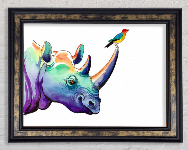 Rainbow Rhino Bird Framed Print