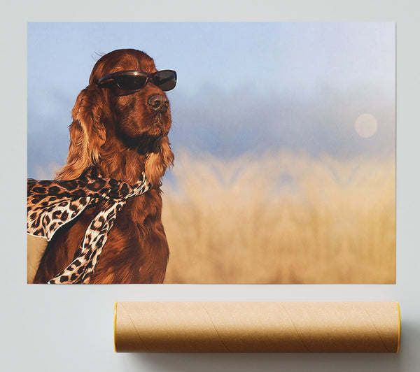 Glamorous Irish Setter Dog Print