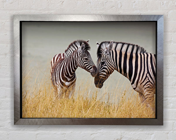 Mutter und Baby Zebra