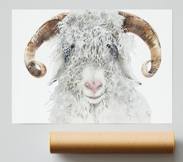 Sheep Beauty Poster