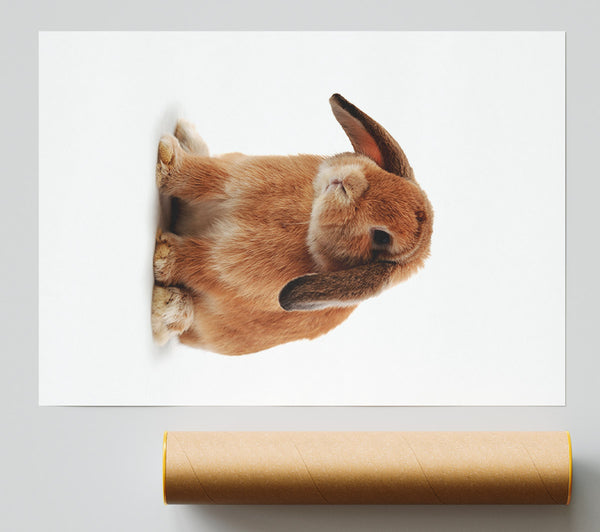 Bunny Sad Ears Poster