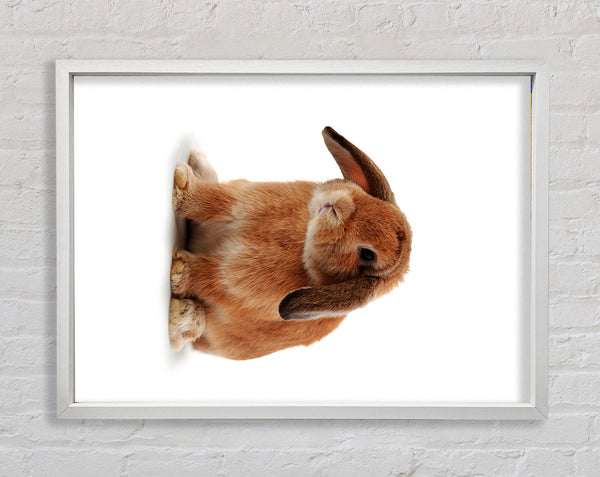 Bunny Sad Ears Framed Print