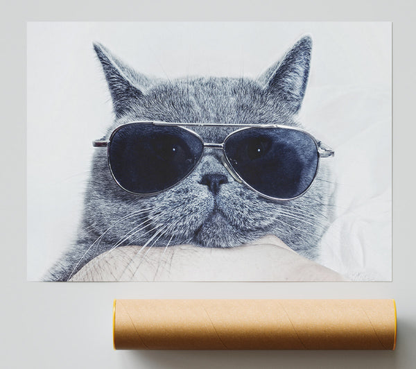 Kitty Cat Cool Giclee Print