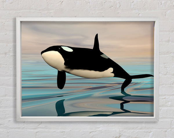 Killer Whale Jump Framed Print