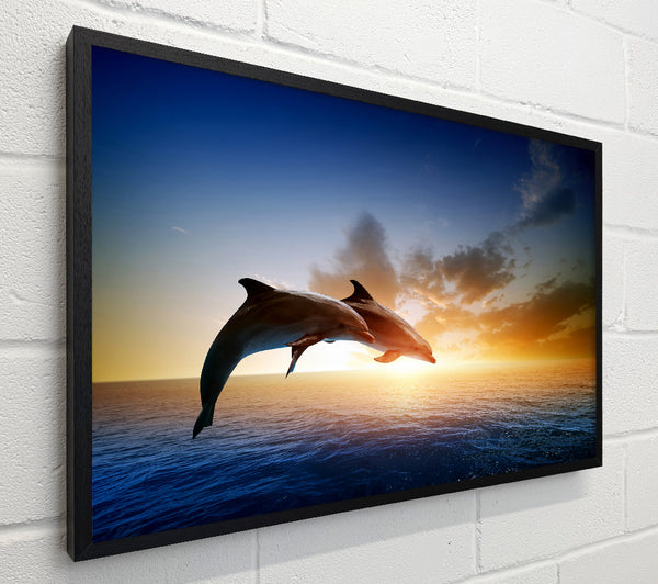 Jumping Sunset Dolphins