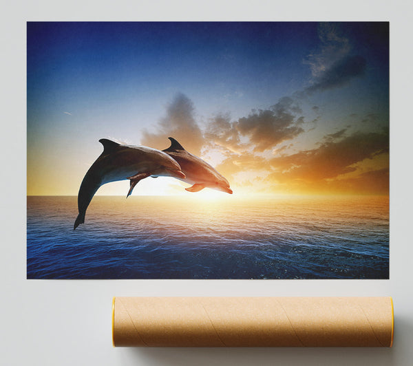 Jumping Sunset Dolphins Poster