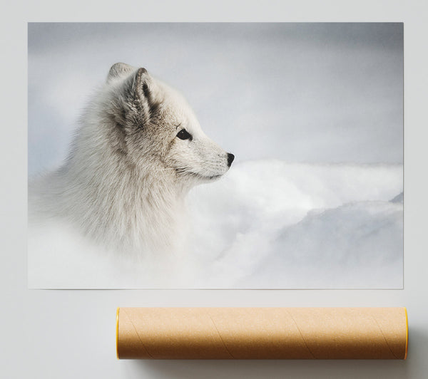 Snow Wonder Fox Giclee Print