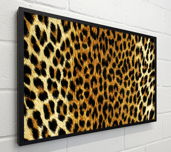 Leopard Skin