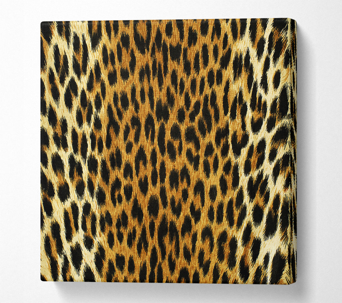  A Canvas Print of Leopard Skin Canvas Art