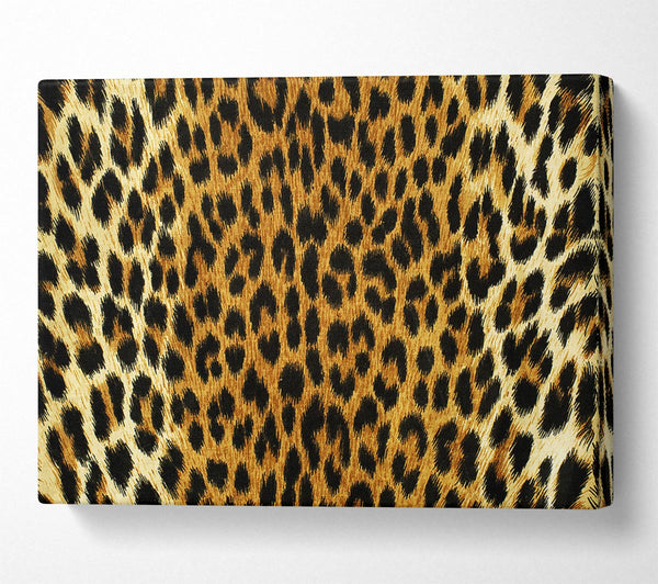 A Canvas Print of Leopard Skin Canvas Art
