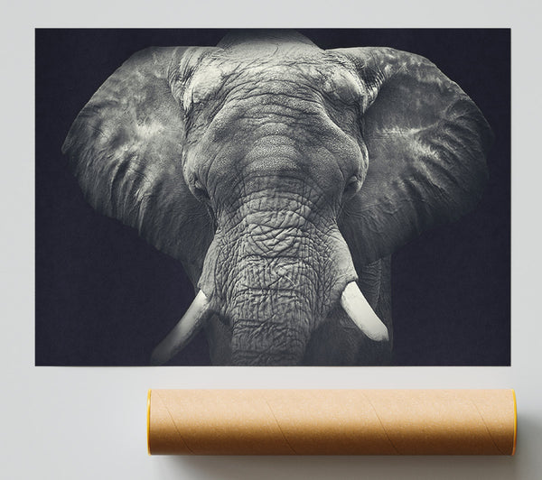 Majestical Elephant Poster