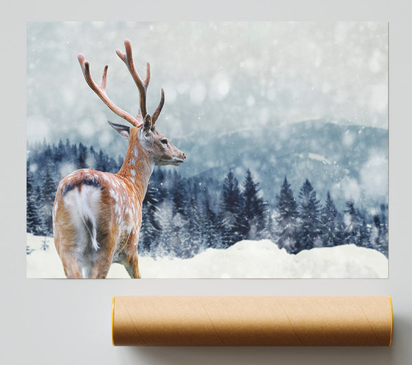 Winter Deer Print