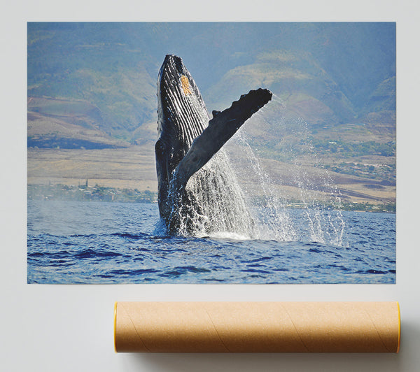 Whale Tail Giclee Print