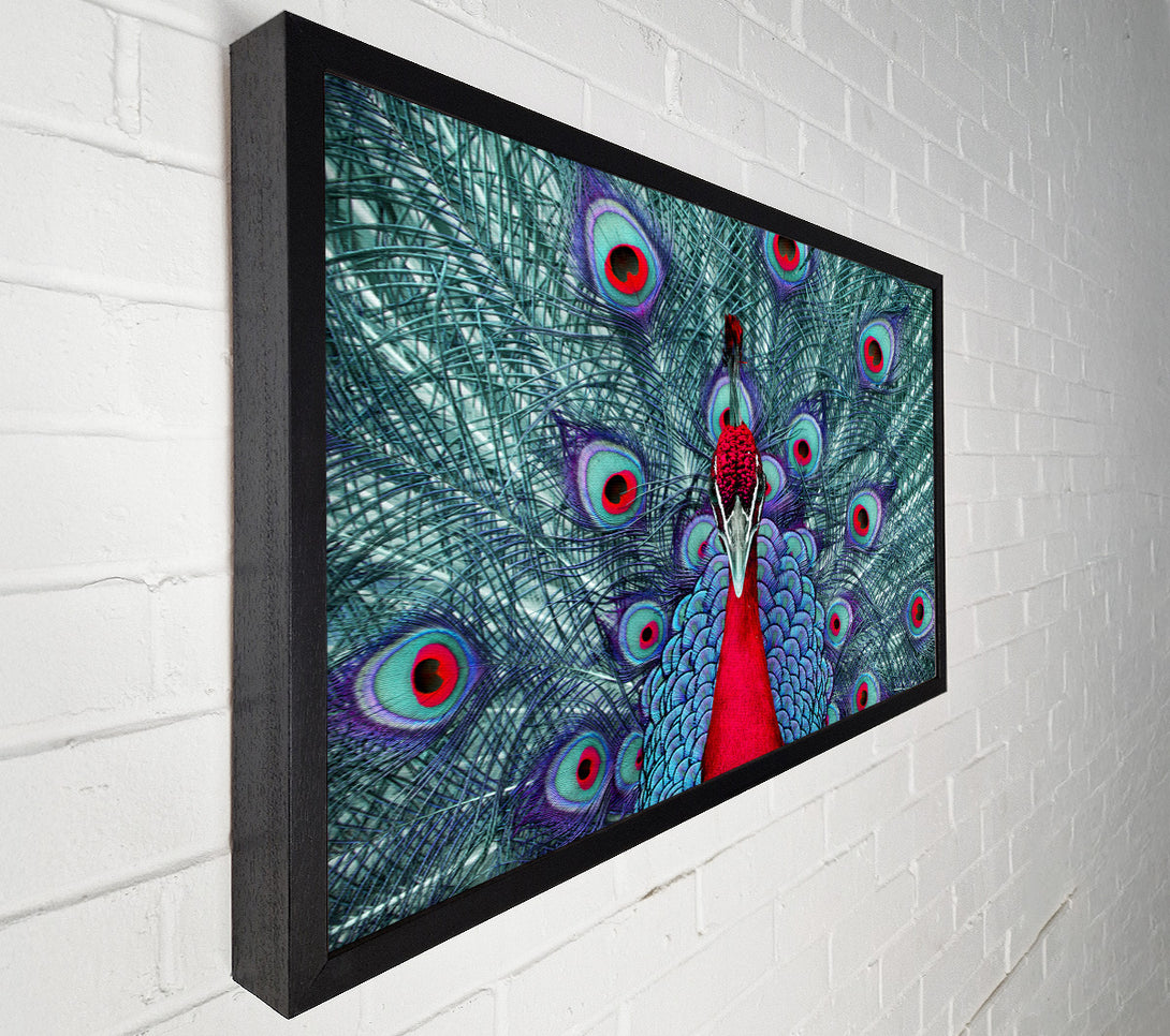  A Canvas Print of Peacock Beauty Canvas Wall Art