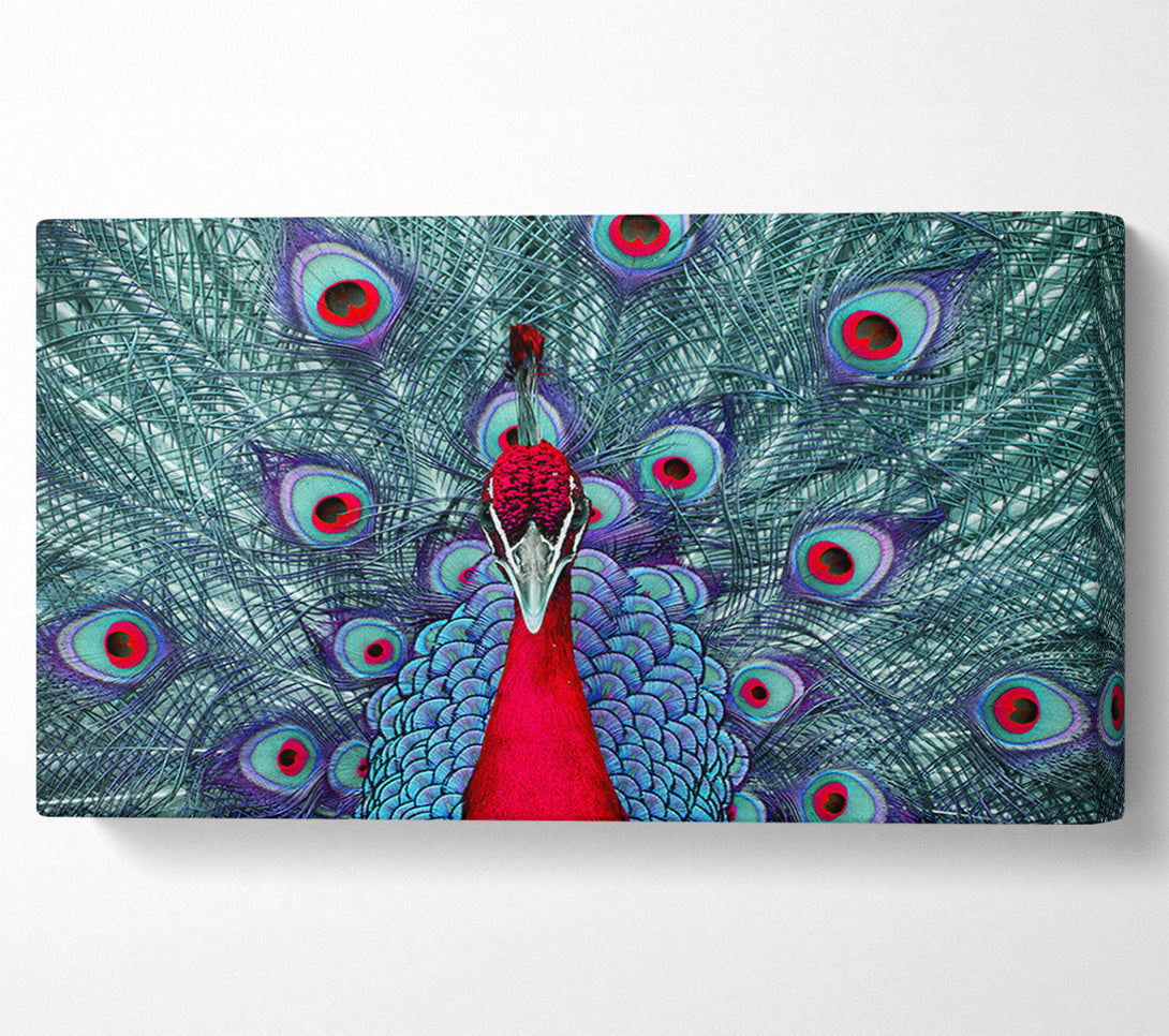  A Canvas Print of Peacock Beauty Canvas Wall Art