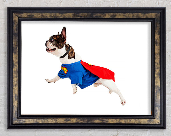 Super Dog Framed Print