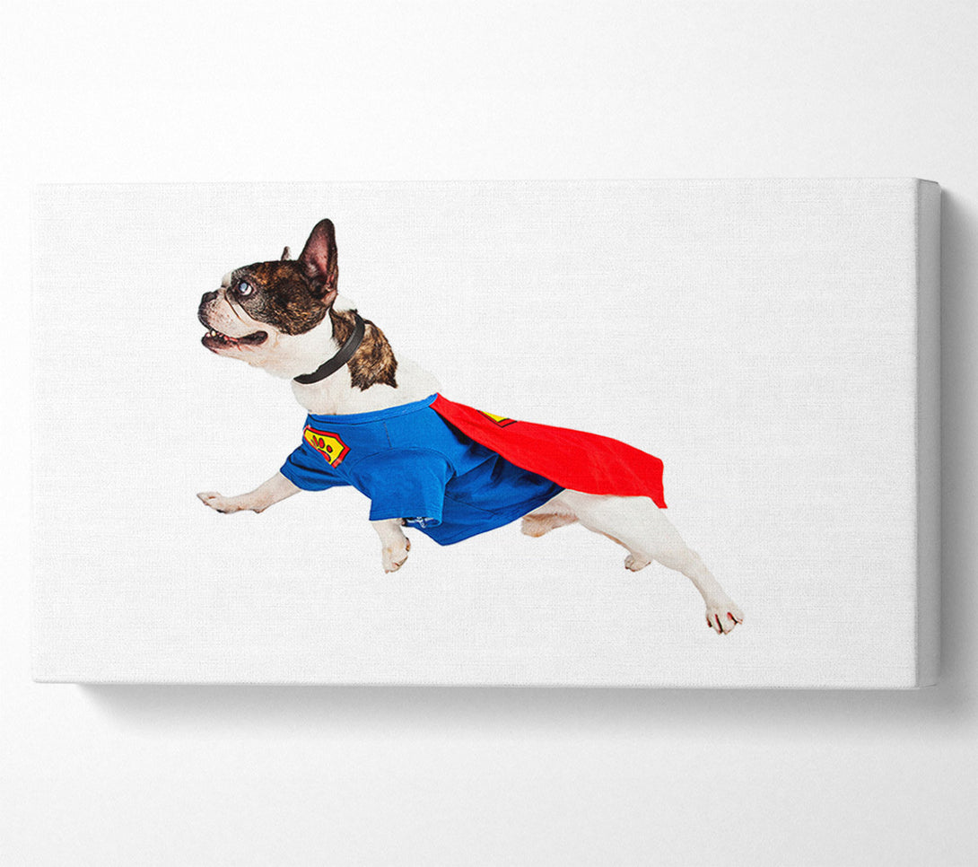  A Canvas Print of Super Dog Canvas Art