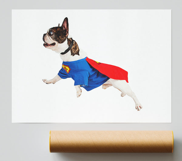 Super Dog Print