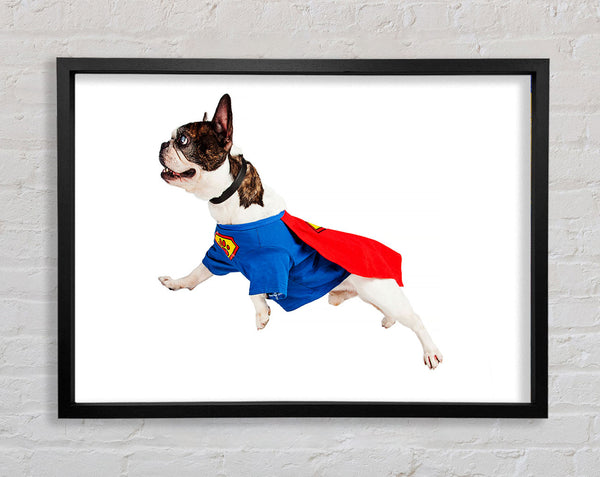 super Hund