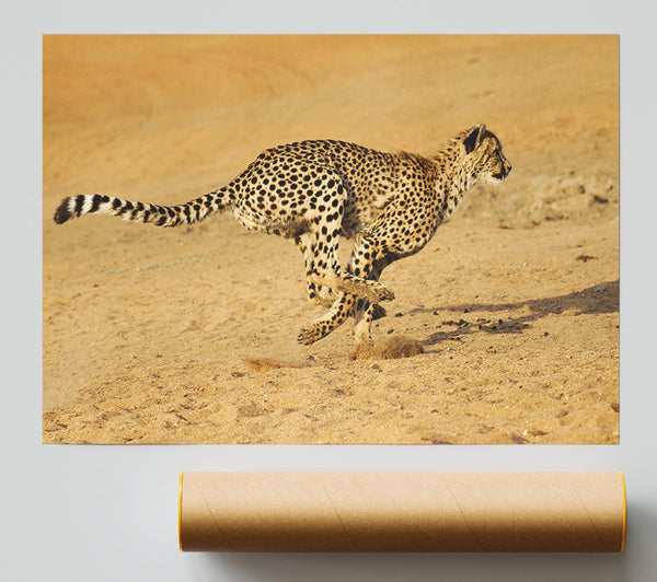 Cheetah Chase Giclee Print