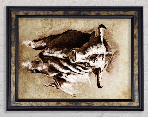 Bull Stare Framed Print