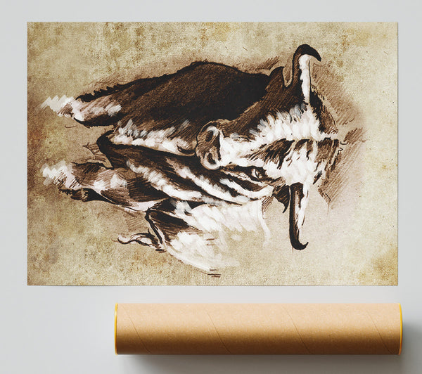 Bull Stare Giclee Print