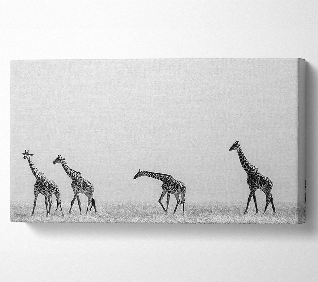  A Canvas Print of Giraffe Safari LineUp Canvas Wall Art