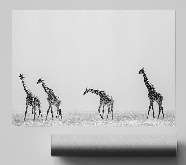 Giraffe Safari Lineup Poster