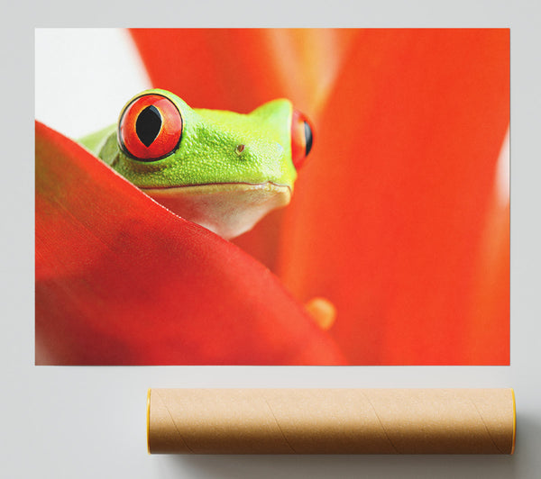 Red Leaf Frog Print