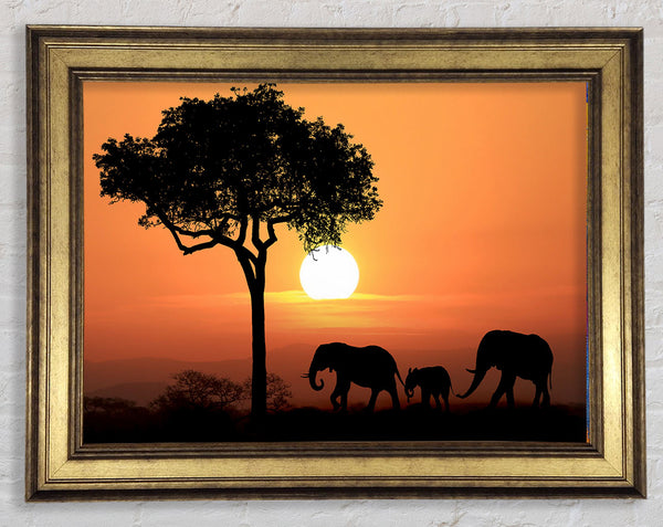 Elephant Safari Sunset Framed Print