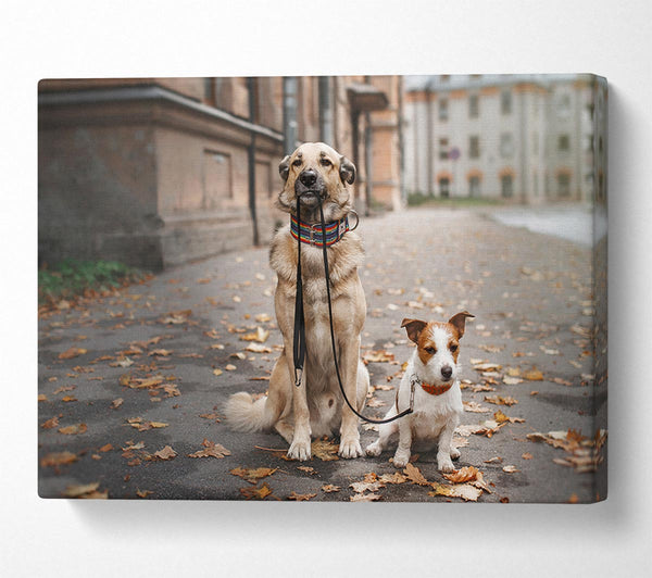  A Canvas Print of Dog Walking Dog Canvas Wall Art