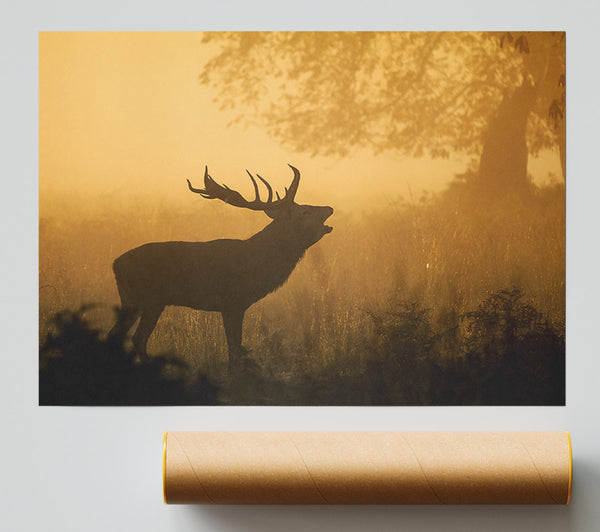 Deer Call Giclee Print