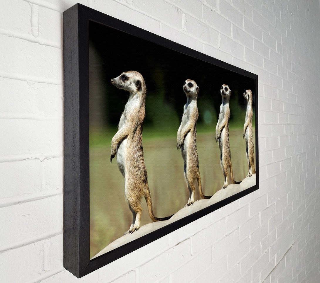  A Canvas Print of Meerkat Team Canvas Print