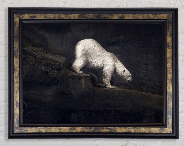 Polar Bear Hunt Framed Print