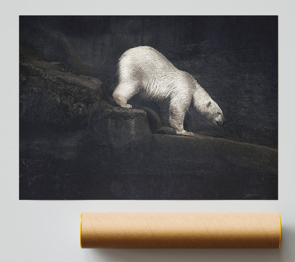 Polar Bear Hunt Print