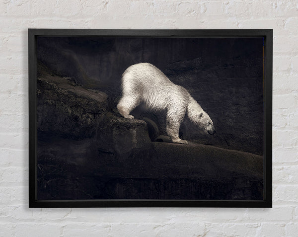 Polar Bear Hunt Framed Print
