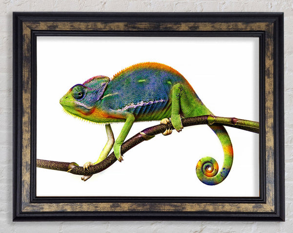 Chameleon Branch Framed Print