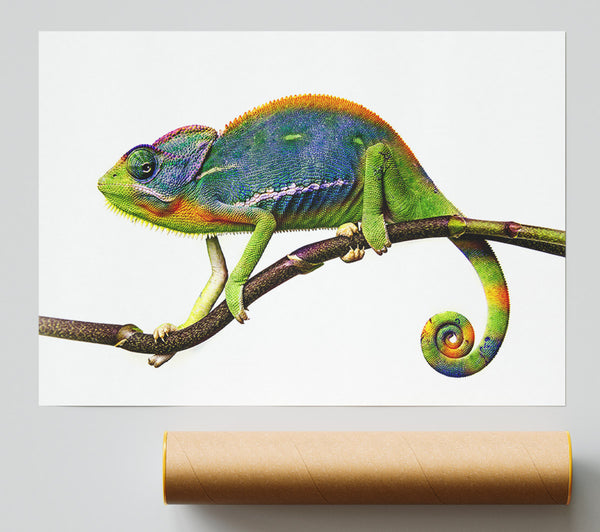 Chameleon Branch Print