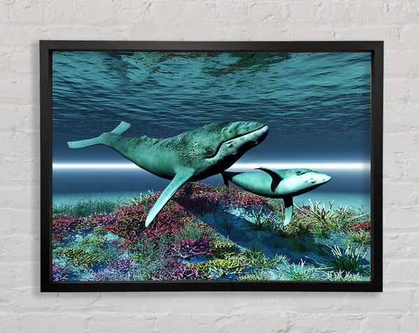Whale Family Framed Print