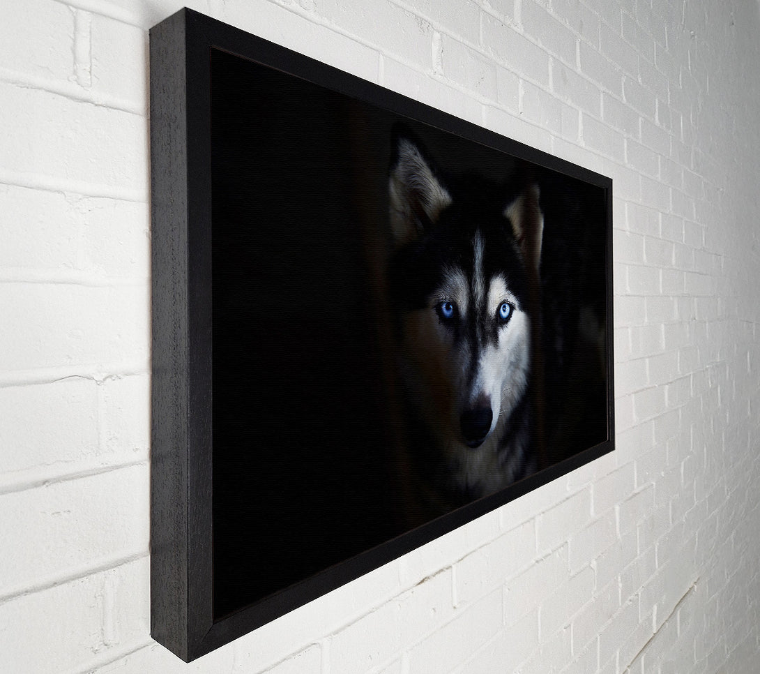 A Canvas Print of Husky Dog Wolf Face Canvas Wall Art