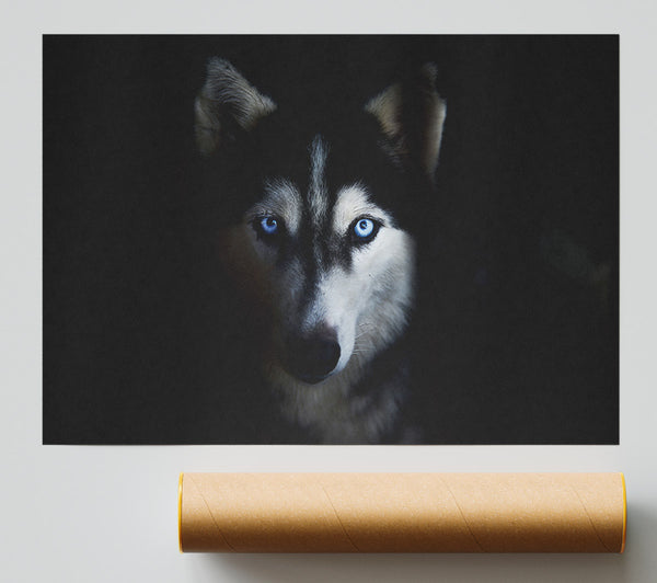 Husky Dog Wolf Face Print