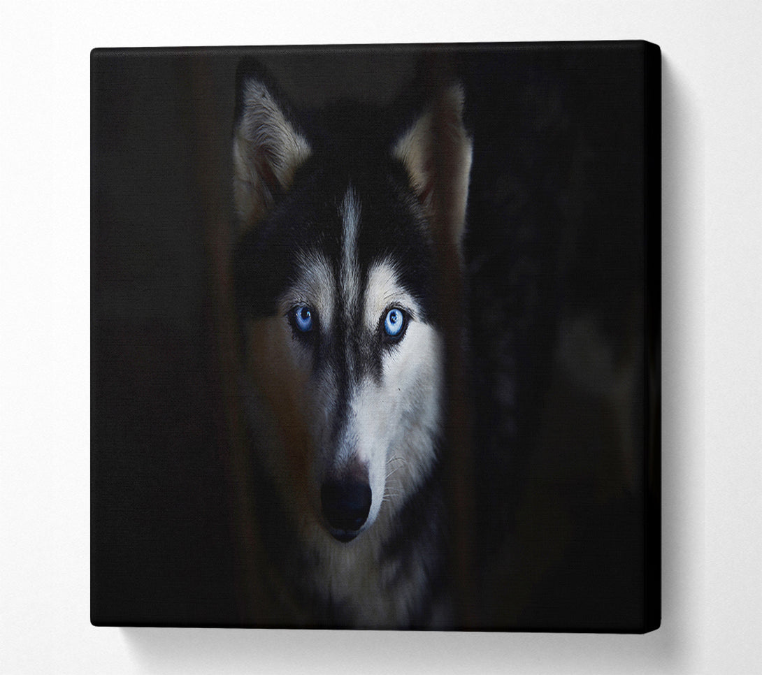  A Canvas Print of Husky Dog Wolf Face Canvas Wall Art