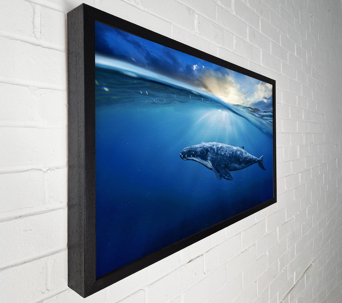  A Canvas Print of Ocean Whale Canvas Print
