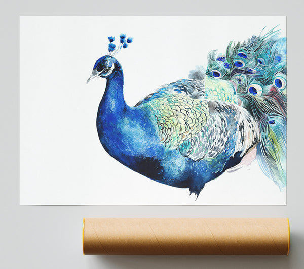 Peacock Blues Print
