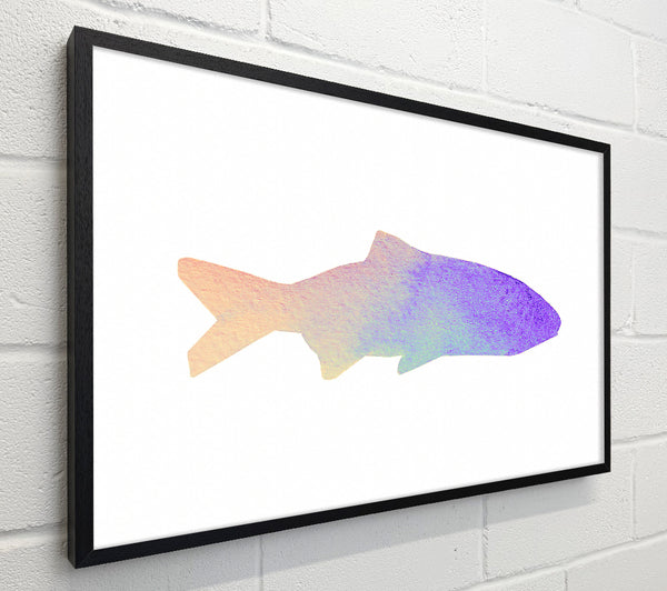 Rainbow Fish