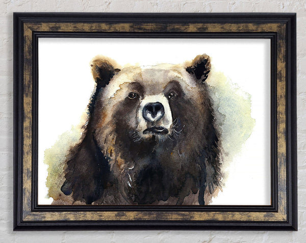 Grumpy Bear Framed Print