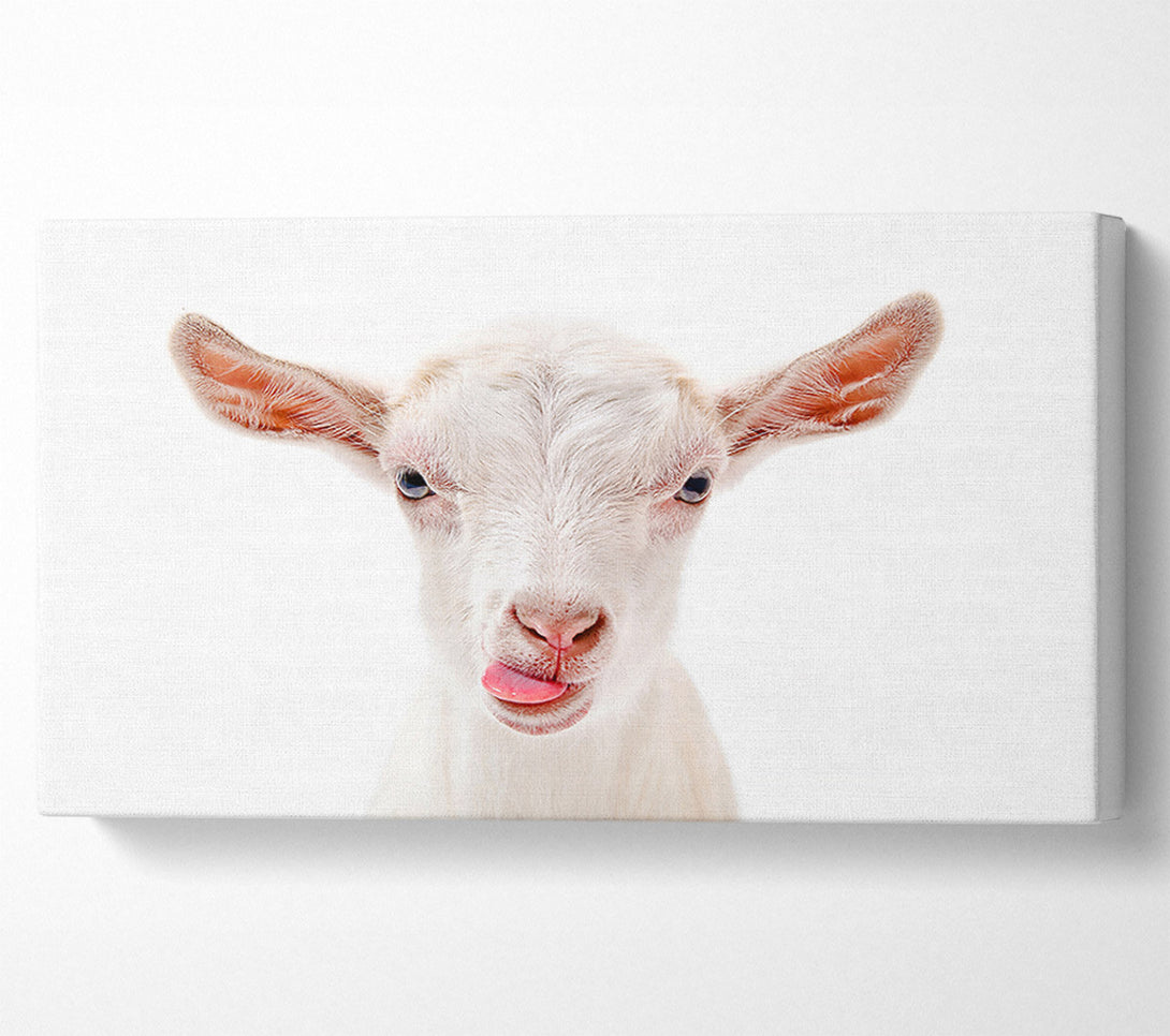  A Canvas Print of Goating Around Canvas Art