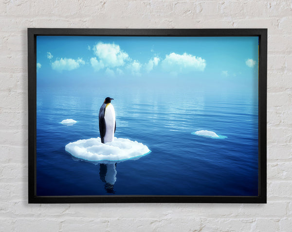 Pinguin-Drift