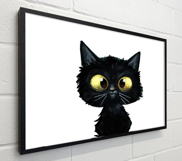 Funny Black Cat
