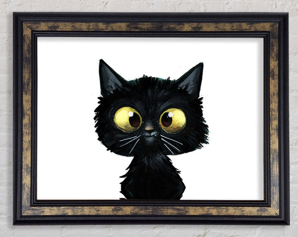 Funny Black Cat